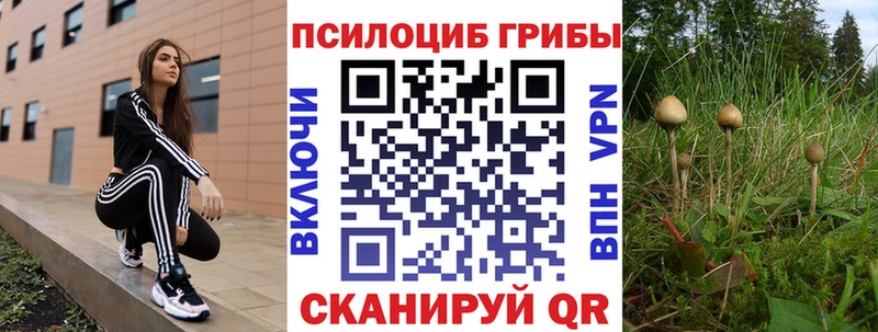 Галлюциногенные грибы ЛСД Купить закладки Кодинск